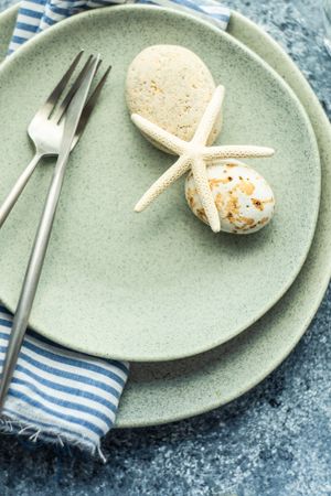 Top view of sea stars and shells on ceramic plates