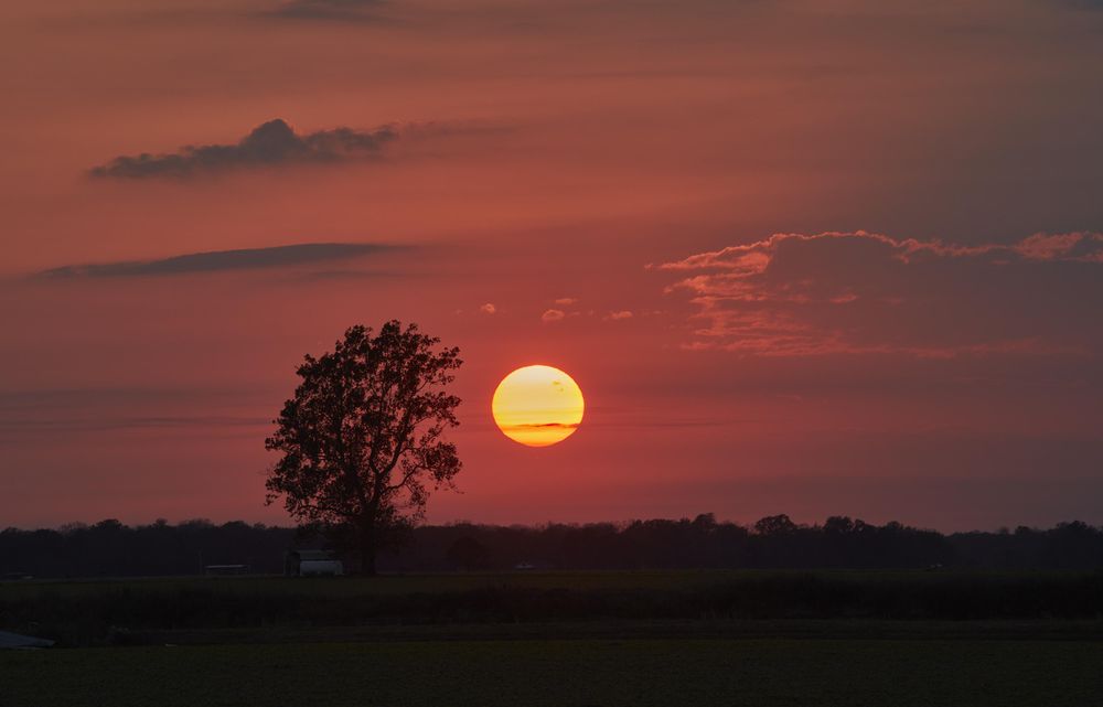 Sunset in the prairies of Gillett, AR