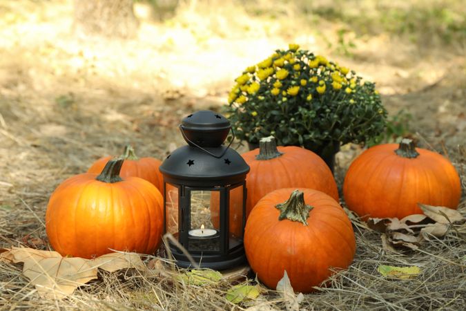 Cozy autumn concept with pumpkins and candle outdoor