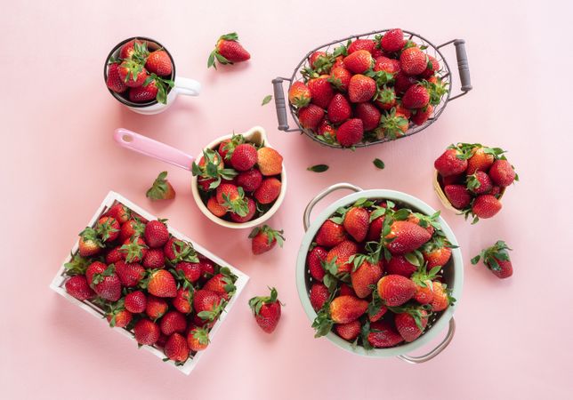 Ripe strawberry harvest