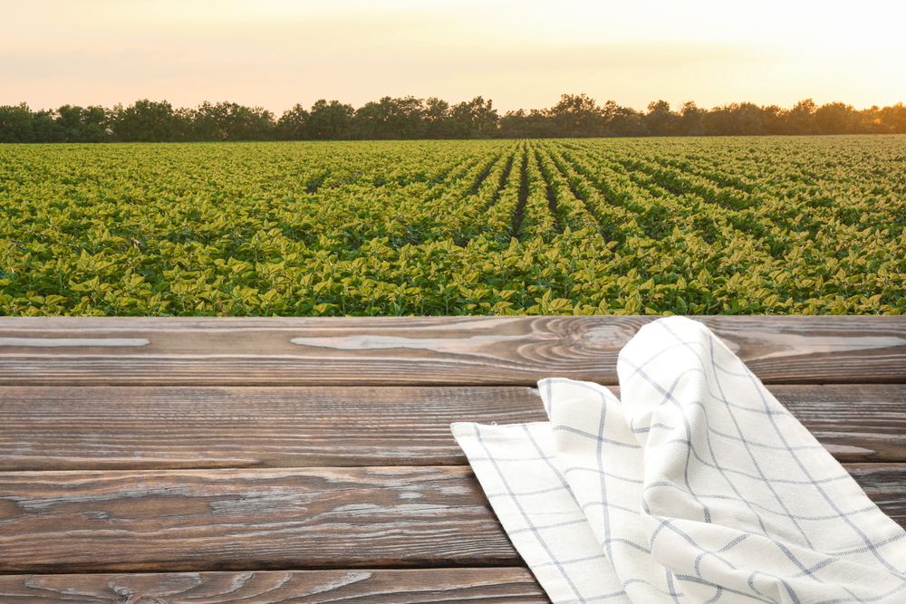 Wooden table with towel against field. Agriculture concept