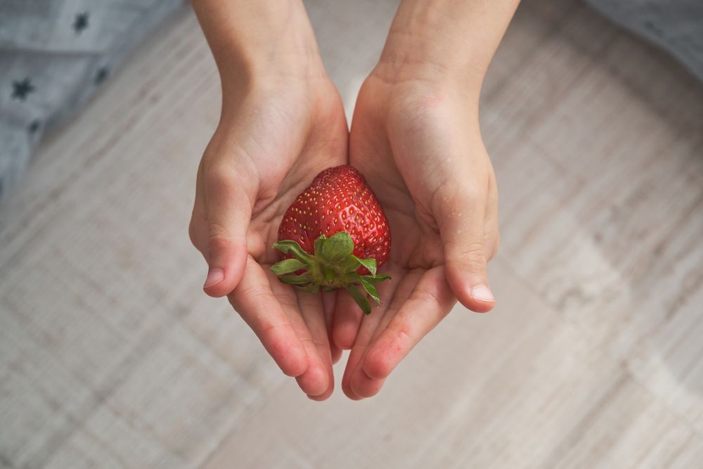 Faceless person with fresh red strawberry in cupped hands