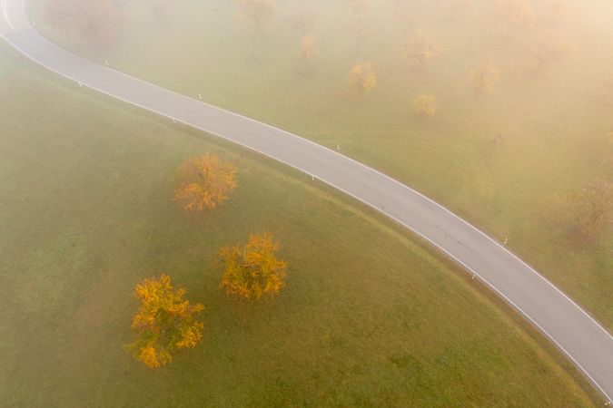 Drone aerial image with a road passing through an autumn orchard on a foggy morning