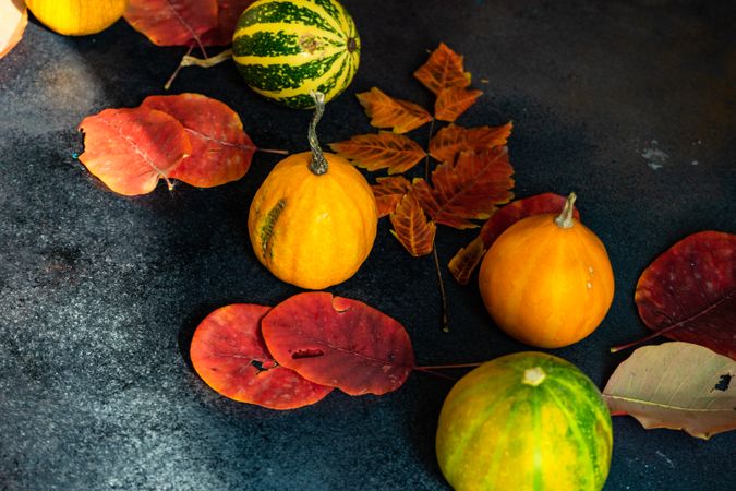 Colorful autumn leaves with gourds