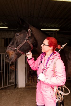 Equine dentist ready for a dental checkup.