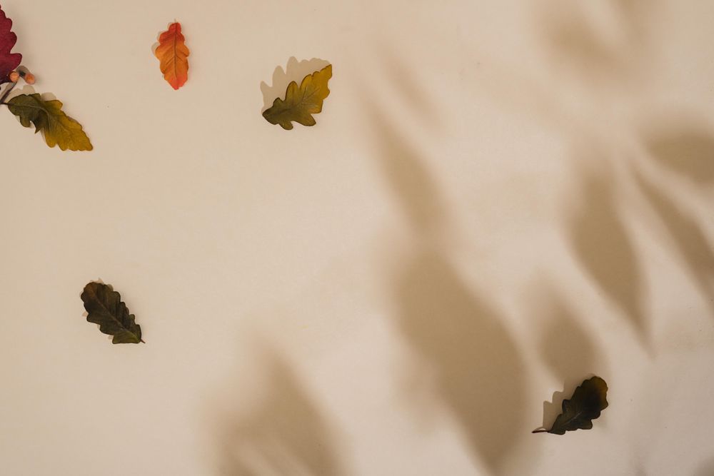 Fall leaves with shadows on sand pastel background