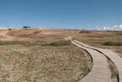 Deserted field with wooden overpass