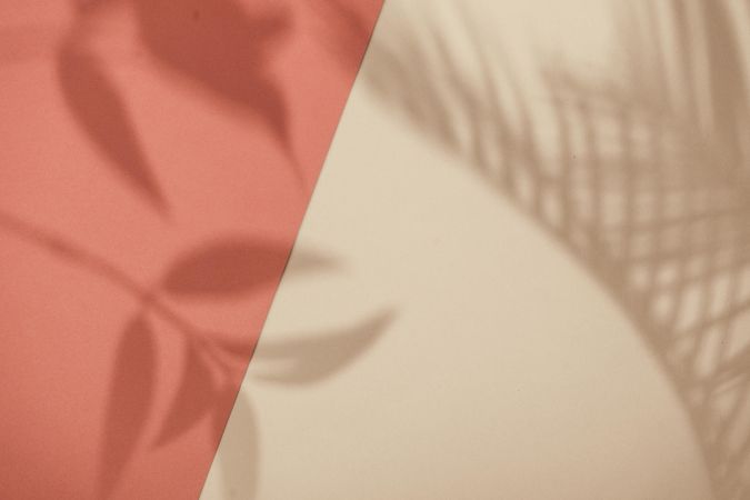 Top view of tropical leaf shadow on orange and sand color background
