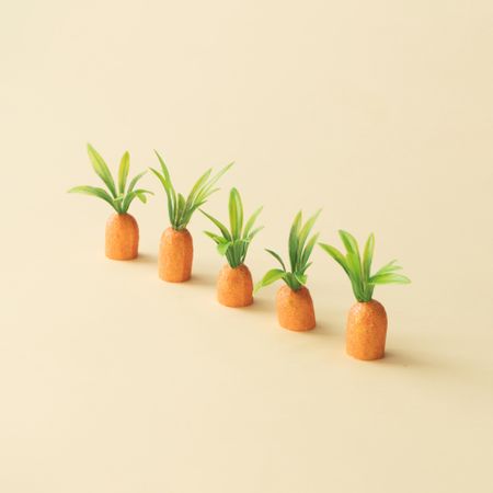 Row of carrots on pastel yellow background