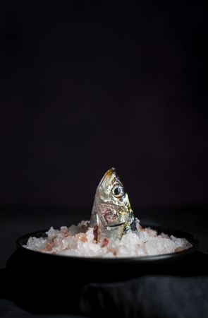 Head of sardine in plate with salt in darkness