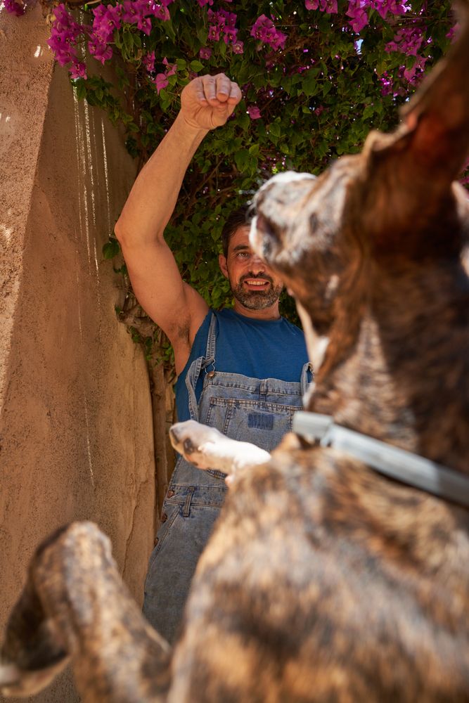 Happy man playing with dog outside