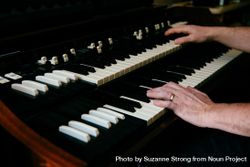 Man's hands playing a double keyboard organ 49mmly