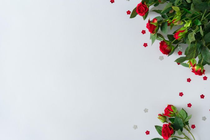 Creative layout made with red flowers and confetti