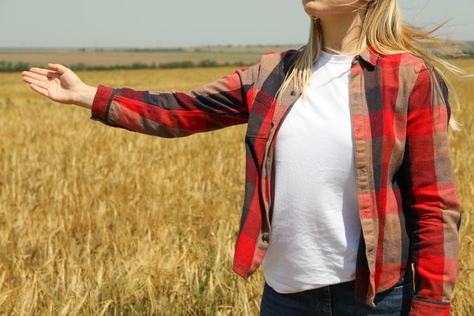 Young woman in barley field. Agriculture business