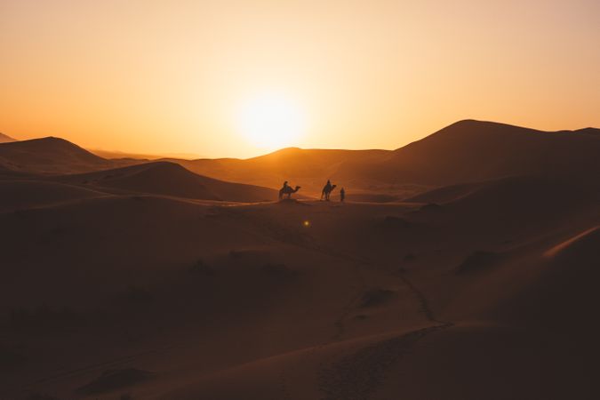 Silhouette of travelers on camels in sunset