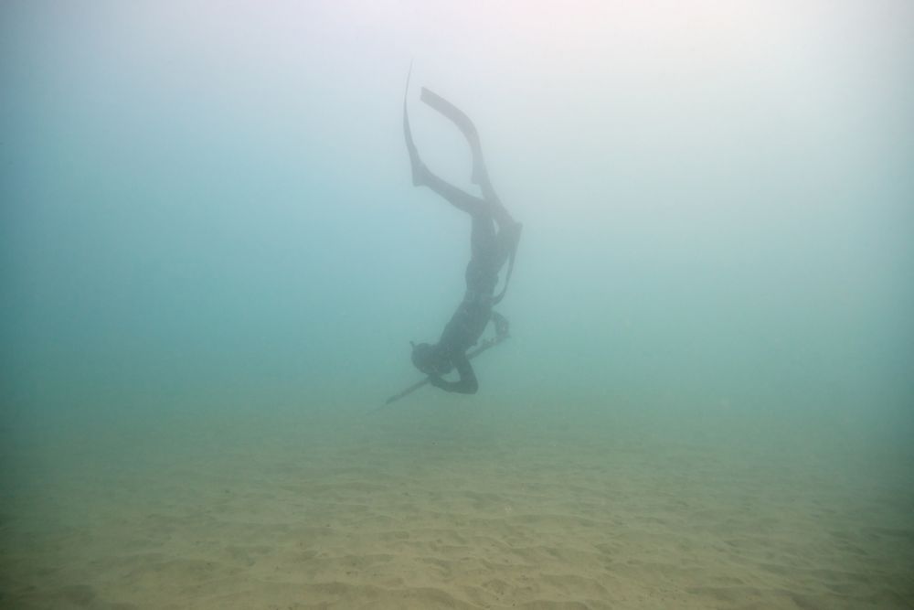 Anonymous diver with harpoon diving into sea