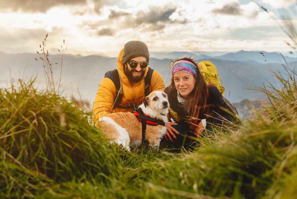 travel with pet