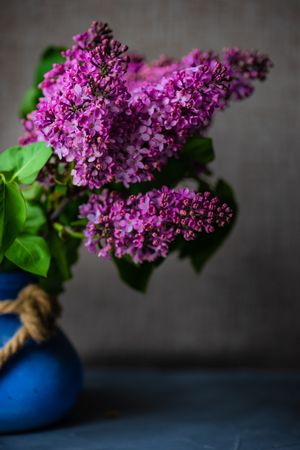 Vase of lilac flowers