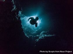 Person diving in ocean depth bGGX2b