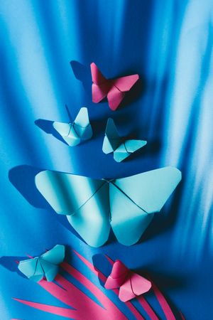 Paper butterflies on silk cloth