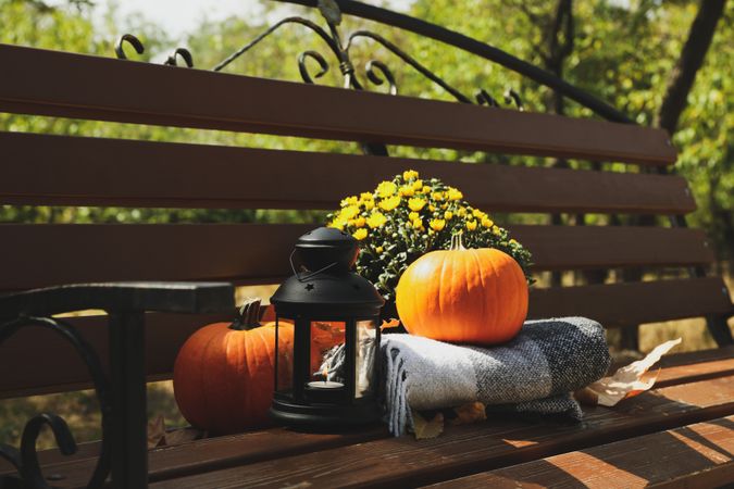 Cozy autumn concept outdoor in the park