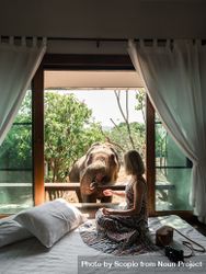 Woman feeding an elephant while sitting on bed 4AvP8b