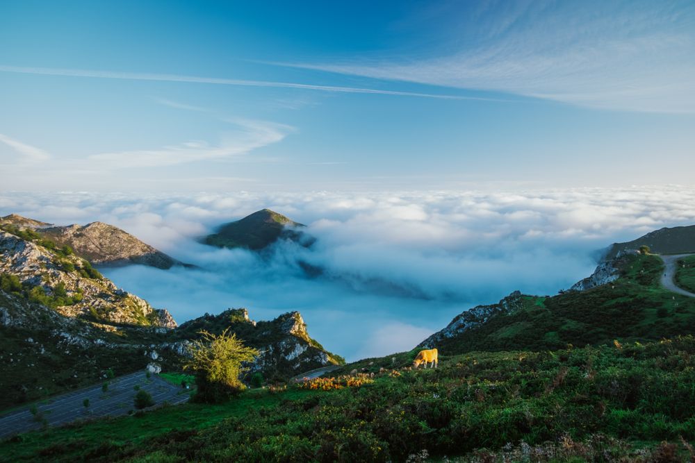 Wonderful view of blue sky above thick clouds in valley from mountain