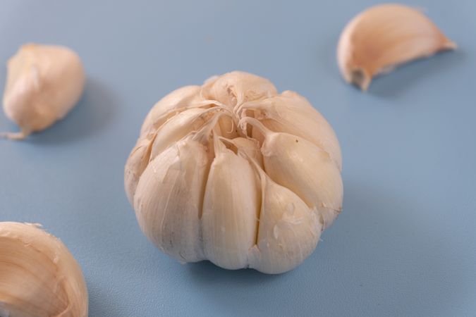 A fresh garlic bulb placed against a bright blue background