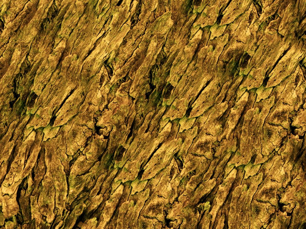 Dark Brown Wood Texture