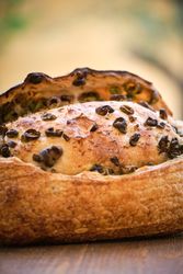 Delicious freshly baked rustic bread with olives