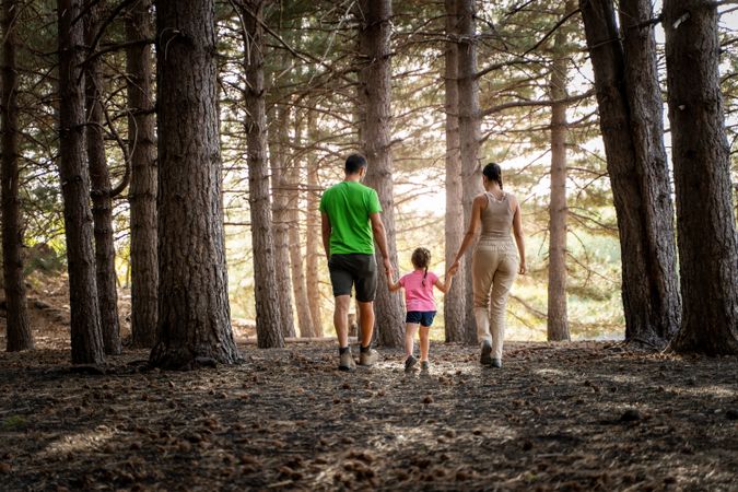 Family Walking in Forest - Outdoor Adventure and Quality Time - back view