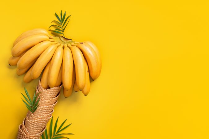Banana in tree shape with ice cream cones with copy space