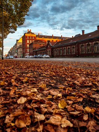 Autumn colors in the city of Strasbourg. Yellow, red, orange