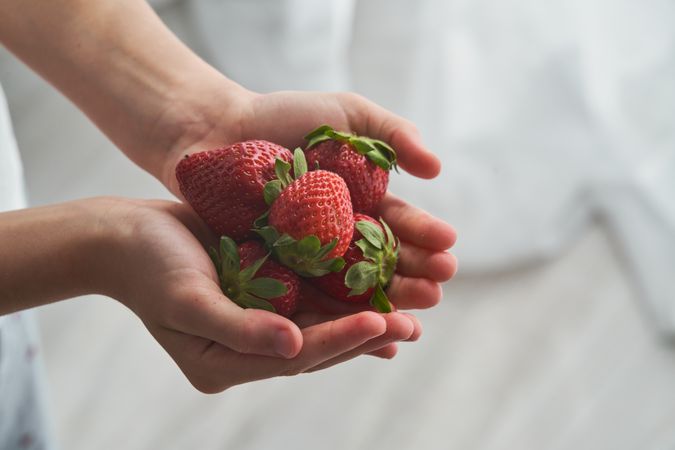 Crop person showing handful of fresh ripe strawberries