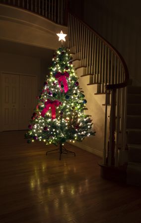 Decorated Christmas tree illuminated in home at night