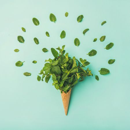 Waffle cone bursting with fresh mint leaves on a pastel green background with decorative leaves