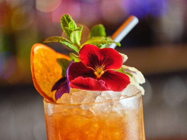 Alcoholic cocktail garnished with flower and mint