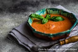 Traditional Spanish tomato soup Gazpacho with basil 5oDWvz