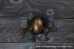 Golden egg with vintage coins on old wood bY1Z9b