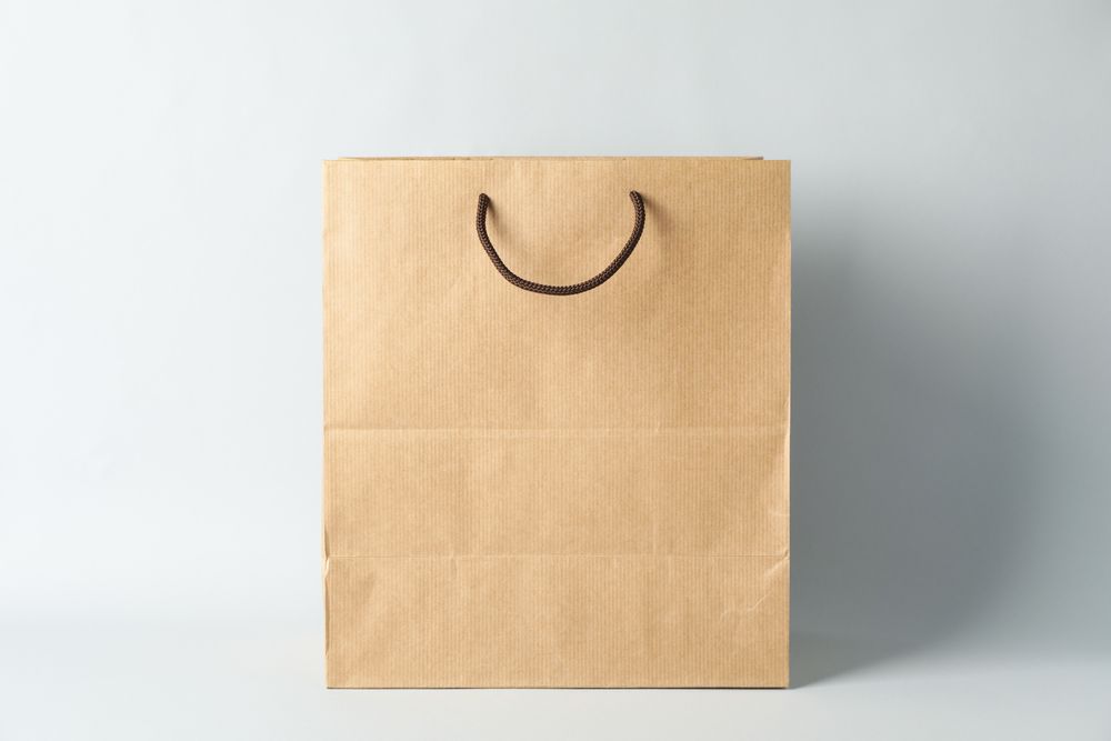 Empty paper bag on light background, space for text