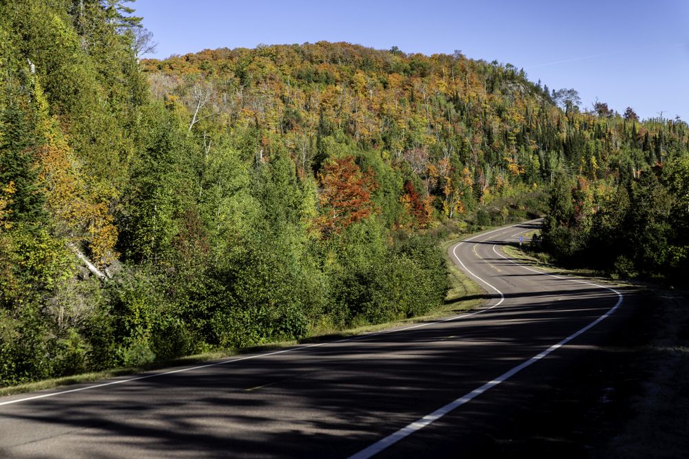 Autumn leaves along the Caribou Trail in Lutsen, Minnesota