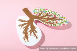 Lungs made out of paper with painted bronchi and flowers on pink background 4MLox5