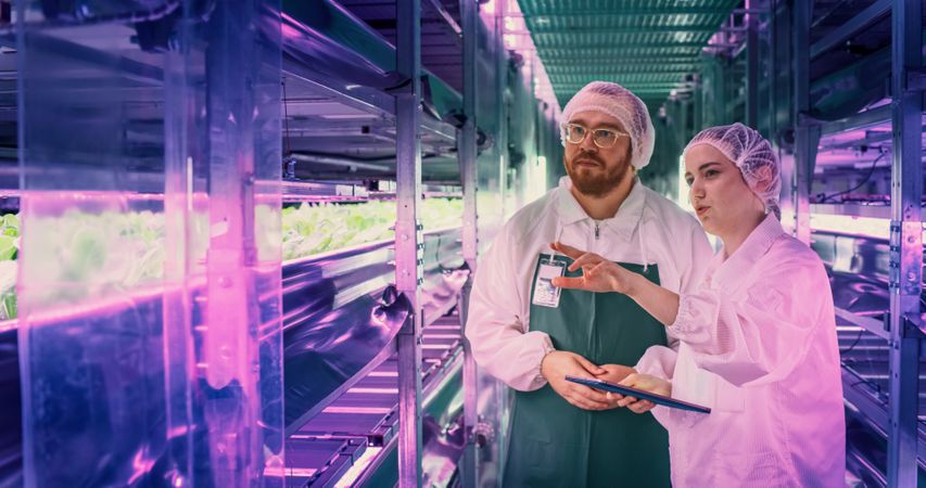 Vertical Farm Specialists Talking in a Corridor with Fresh Crops.