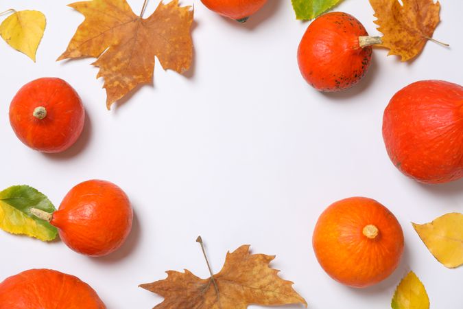Pumpkins and leaves on light background, space for text