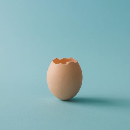 Egg shell on bright blue background