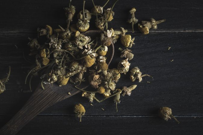 Spoonful of dried chamomile on wooden table