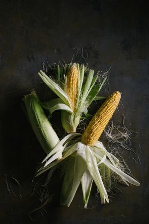 Phases of fresh corn peeling
