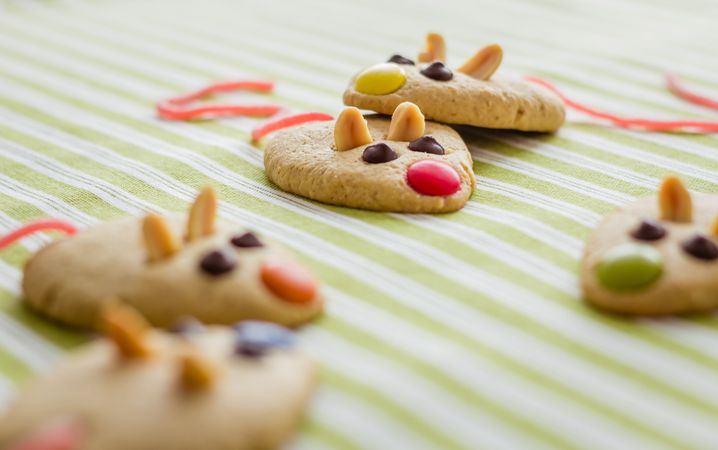 Cookies with mouse shaped and red licorice tail
