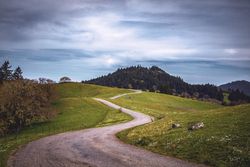 Winding road surrounded by green grass in the mountains
