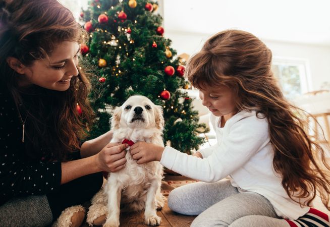Mother and daughter tying a bow tie to their dog on Christmas
